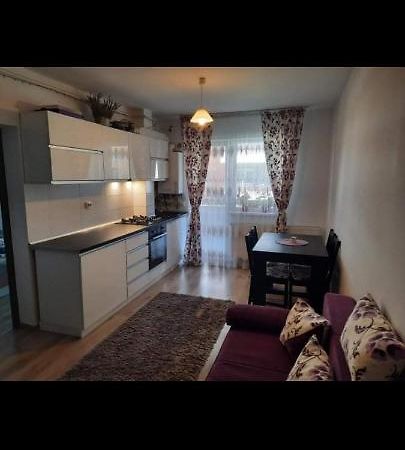 Апартаменты Diana Apartament Брашов Экстерьер фото